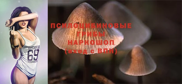 шишки Мегион