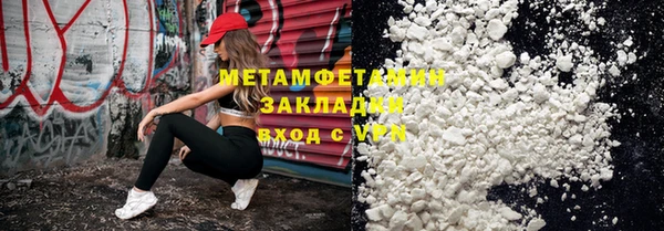 шишки Мегион