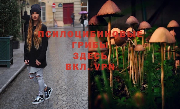 шишки Мегион