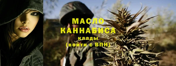 шишки Мегион